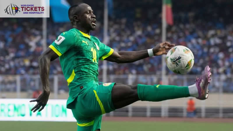 Soccer World Cup Tickets | World Cup Tickets | FIFA World Cup Tickets | Football World Cup 2026 Tickets