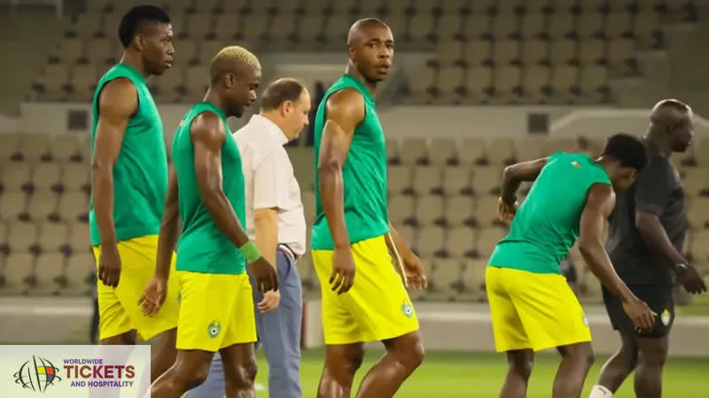 FIFA World Cup Tickets | Football World Cup 2026 Tickets | FIFA 2026 Tickets | Qatar FIFA World Cup Tickets