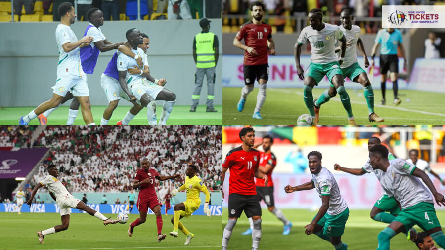 Senegal FIFA World Cup Tickets | FIFA World Cup Tickets | World Cup Tickets