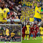 Ecuador World Cup Tickets | World Cup Tickets | FIFA World Cup Tickets | Football World Cup 2026 Tickets