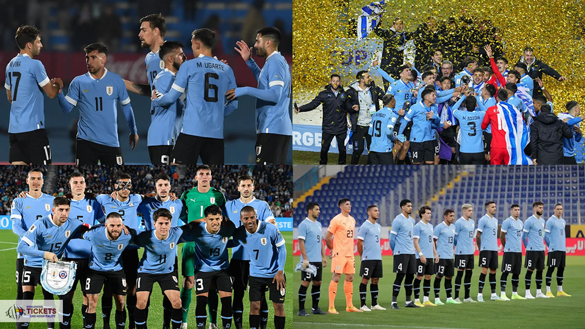 World Cup Tickets | FIFA World Cup Tickets | Football World Cup 2026 Tickets