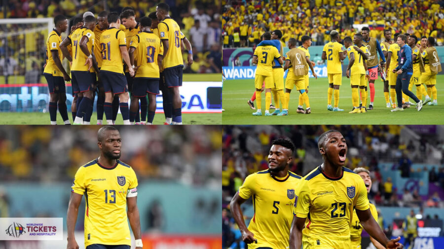 FIFA World Cup Tickets | FIFA World Cup 2026 Tickets| FIFA World Cup Tickets