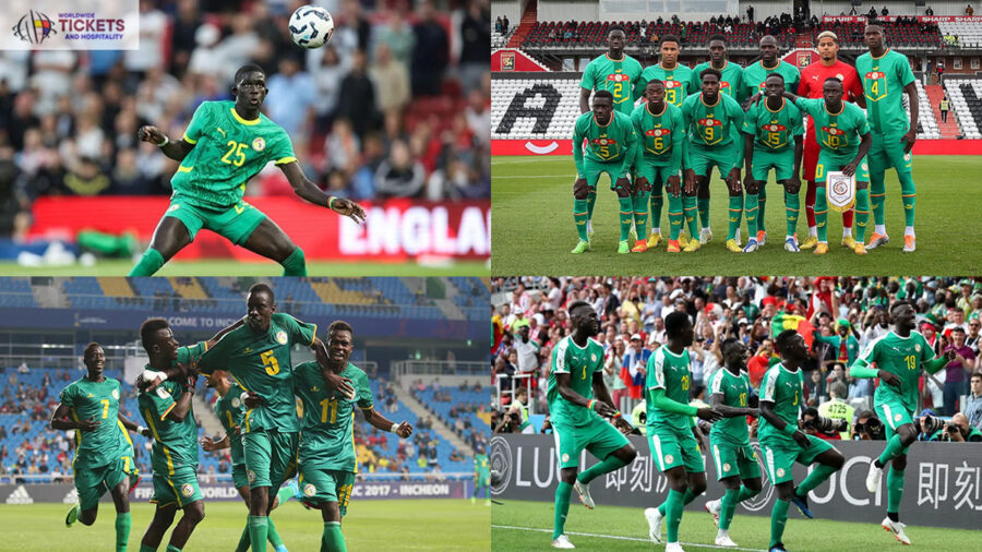 FIFA World Cup Tickets | Football World Cup Tickets | Football World Cup 2026 Tickets | FIFA 2026 Tickets | Soccer World Cup Tickets | World Cup Tickets | World Cup 2026 Tickets | FIFA World Cup Semi Final Tpickets | Football World Cup Final Tickets | FIFA World Cup Final Tickets | USA FIFA World Cup Tickets | Canada FIFA World Cup Tickets | Senegal FIFA World Cup Tickets