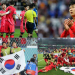 Football World Cup Tickets | World Cup Tickets | Korea Republic FIFA World Cup Tickets| Football World Cup 2026 Tickets
