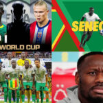 Norway Vs Senegal Tickets | Norway FIFA World Cup Tickets | Norway vs France Tickets | FIFA World Cup Tickets | FIFA 2026 Tickets | Soccer World Cup Tickets | FIFA World Cup 2026 Tickets | Football World Cup Tickets | Football World Cup 2026 Tickets | FIFA World Cup Semi Final Tickets | FIFA World Cup Final Tickets