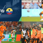 Ivory Coast vs Ecuador Tickets | FIFA World Cup Tickets | World Cup Tickets | Football World Cup Tickets
