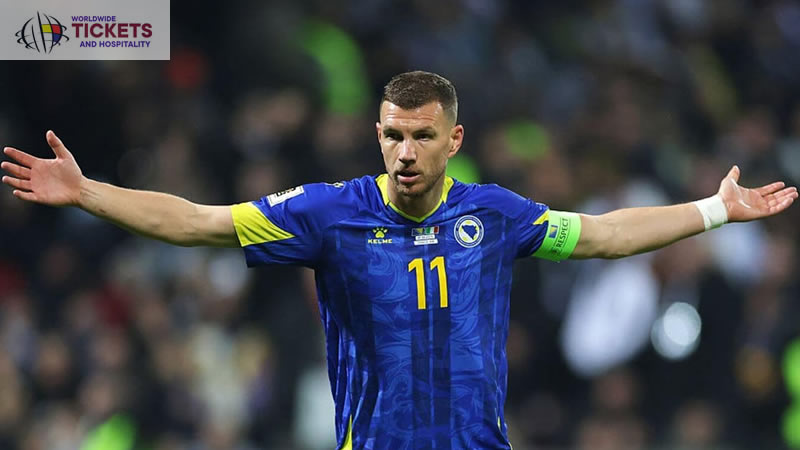 Bosnia and Herzegovina Vs Qatar Tickets | FIFA World Cup Tickets | World Cup Tickets | Football World Cup Tickets