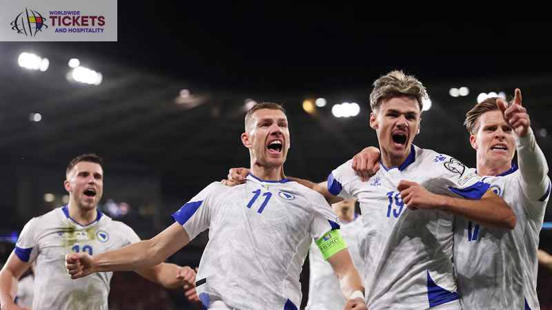 Switzerland Vs Bosnia and Herzegovina Tickets| FIFA World Cup Tickets | World Cup Tickets | Football World Cup Tickets 
