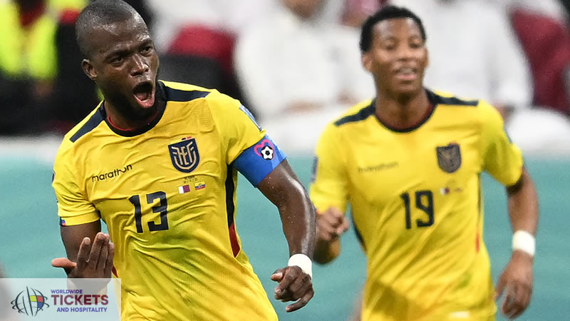 Ivory Coast Vs Ecuador Tickets| FIFA World Cup Tickets | World Cup Tickets | Football World Cup Tickets 
