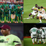 Senegal Vs Iran Tickets | FIFA World Cup Tickets | World Cup Tickets | Football World Cup Tickets