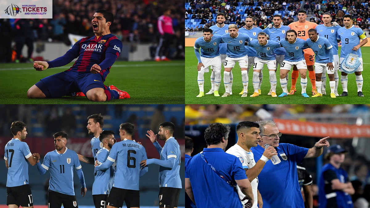 FIFA World Cup Tickets | Football World Cup 2026 Tickets | FIFA 2026 Tickets
