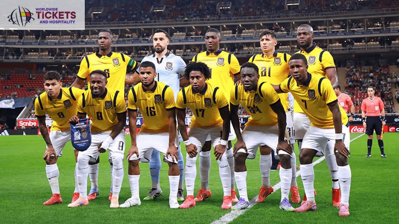 Ivory Coast vs Ecuador | FIFA World Cup Tickets | World Cup Tickets | Football World Cup Tickets
