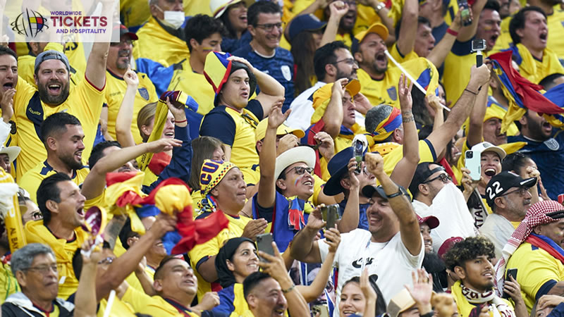 FIFA World Cup Semi Final Tickets | FIFA World Cup Final Tickets|Ivory Coast | FIFA World Cup Tickets