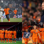 Netherlands vs Japan| FIFA World Cup Tickets | World Cup Tickets | Football World Cup Tickets