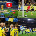 Sweden vs Tunisia Tickets | FIFA World Cup Tickets | World Cup Tickets | Football World Cup Tickets